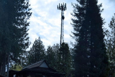 Home with cell tower in wooded area