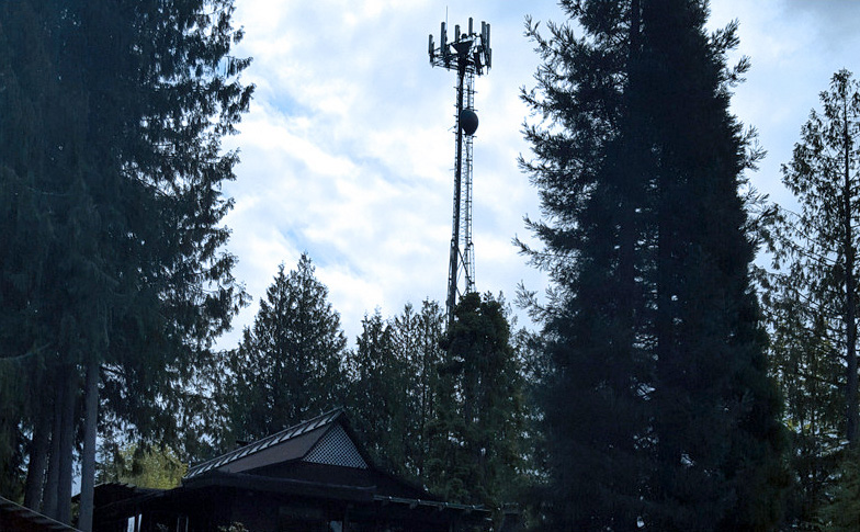 Home with cell tower in wooded area